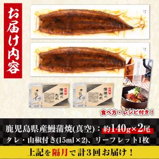 i853-B ＜定期便・計3回(隔月)＞鹿児島県産うなぎ蒲焼2尾セット＜(約140g×2・計約280g)×全3回＞ うなぎ 鰻 ウナギ 2尾 蒲焼き 国産 鹿児島県産 焼きたて 生産量日本一 真空パック おかず 晩御飯 特別な日 土用の丑の日 【薩摩川内鰻】