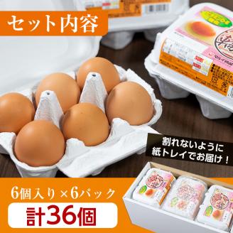 i020 鹿児島県産の赤たまご！マルイの輪(たまご)×36個(6個入り×6パック)養鶏の専門農協で一貫して生産された国産生玉子！業務用 国産 九州産 生卵 卵 たまご 玉子 鶏卵 鶏 M玉 TKG 卵焼き 食品【マルイ食品】
