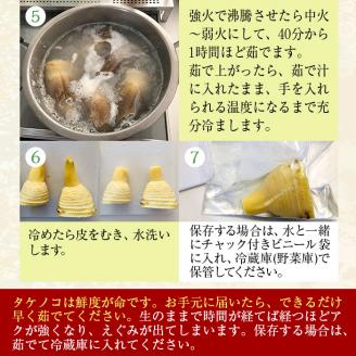 i230 ≪数量限定！先行予約受付中！2026年3月下旬～4月中旬の間に発送≫鹿児島県出水市産！たけのこ＜皮付き2kg＞ たけのこ 筍 タケノコ 国産 皮付き 野菜 旬 新鮮 採りたて 煮物 味噌汁 炊き込みご飯 【シンタク】