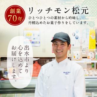 i246 季節の上生菓子セット(10個) お菓子 和菓子 生菓子 四季 ギフト 贈り物 和スイーツ お祝い 個包装 冷凍 【リッチモン松元】