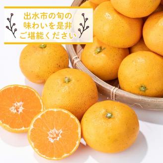 i569 ＜先行予約受付中！2025年11月中旬～2026年1月下旬の間に発送予定＞【特別栽培・最高金賞】温州みかん日本一！濃甘あめ玉みかん(計約6kg・3kg×2箱＋傷み保障 約200g(3～4玉) みかん 蜜柑 ミカン 柑橘 果物 フルーツ 果実 国産 鹿児島【Farmer friends Marche】