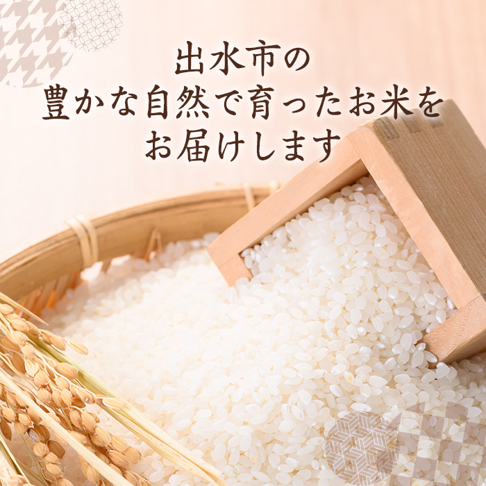 i070 鹿児島県出水市産ヒノヒカリ 山水米(5kg)国産！鹿児島の美味しい白米！風味もツヤも良好で人気のコメ！米 お米 精米 5kg ブランド米 ごはん ご飯 ひのひかり 白米 おにぎり お弁当【JA鹿児島いずみ(米)】