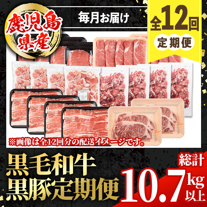 i1008 ＜定期便・計12回(連続)＞黒毛和牛黒豚定期便(総計約10.7kg以上)国産 九州産 鹿児島産 黒毛和牛 牛肉 国産牛 黒豚 豚肉 サーロイン ステーキ 切り落とし 切落し しゃぶしゃぶ すき焼き 定期便 12回 冷凍配送【スターゼン】