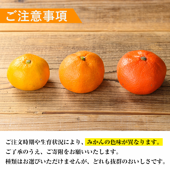 i1030 ＜2026年2月上旬~3月上旬の間に順次発送予定＞≪数量・期間限定≫いずみ産 竹ん子山のみかん(約5kg) 鹿児島 国産 九州産 みかん ミカン 蜜柑 柑橘 くだもの フルーツ 果実 【イーサイドライン】