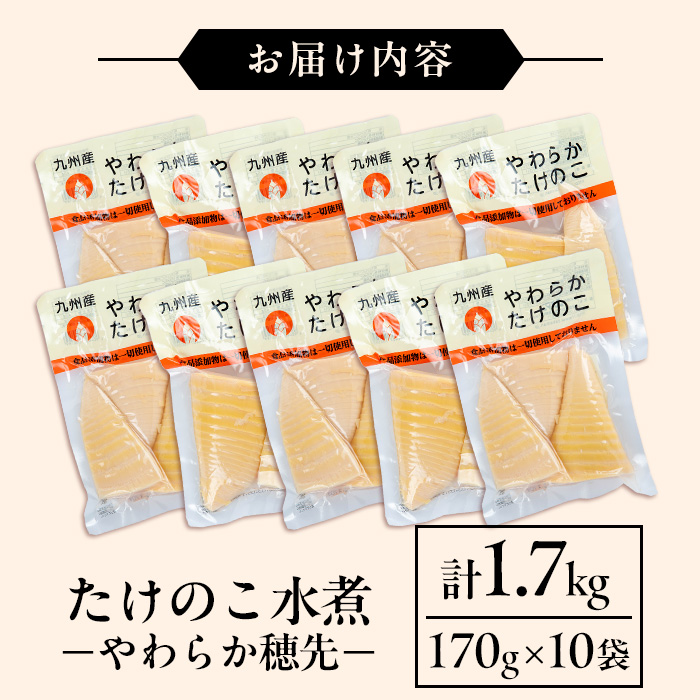i1056 国産たけのこ水煮 穂先のみ (計1.7kg・170g×10P) 小分け 国産 九州産 たけのこ 筍 タケノコ  水煮 常温保存 常温 料理 煮物 炊き込みご飯 おでん 料理 お手軽 【旬彩館】