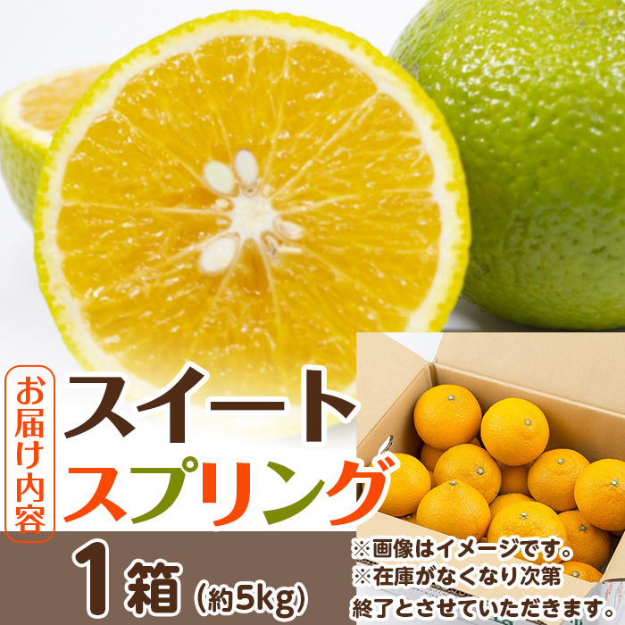 i1068 ＜2025年12月下旬～2月下旬の間に発送予定＞ ＜数量・期間限定＞ スイートスプリング (約5kg) 鹿児島県産 みかん スイートスプリング 柑橘 果物 くだもの フルーツ 旬 ミカン オレンジ 数量限定 期間限定  【江崎果樹園】