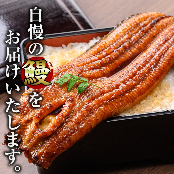 i1078-A-f 【父の日ギフト】＼特大サイズ／鹿児島県産 うなぎ蒲焼 2尾（約220g×2・計約440g） たれ 山椒付きうなぎ 鰻 ウナギ 特大 特大サイズ 約220g 蒲焼き 国産 鹿児島県産 焼きたて 生産量日本一 真空パック おかず 晩御飯 特別な日 贈答 ギフト プレゼント 父の日 【薩摩川内鰻】