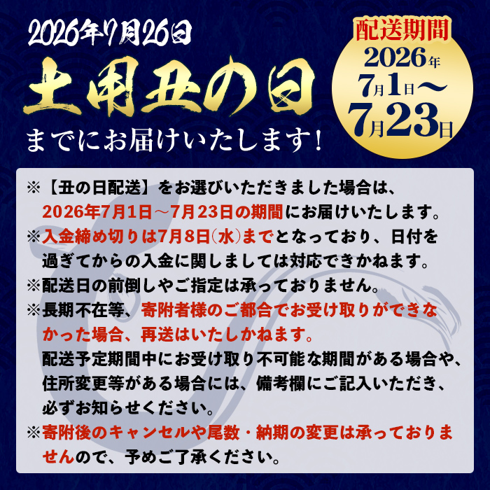 i1078-B-us 【2026年丑の日までに配送】＼特大サイズ／鹿児島県産 うなぎ蒲焼 3尾（約220g×3・計約660g） たれ 山椒付きうなぎ 鰻 ウナギ 特大 特大サイズ 約220g 蒲焼き 国産 鹿児島県産 焼きたて 生産量日本一 真空パック おかず 晩御飯 特別な日 土用の丑の日 【薩摩川内鰻】
