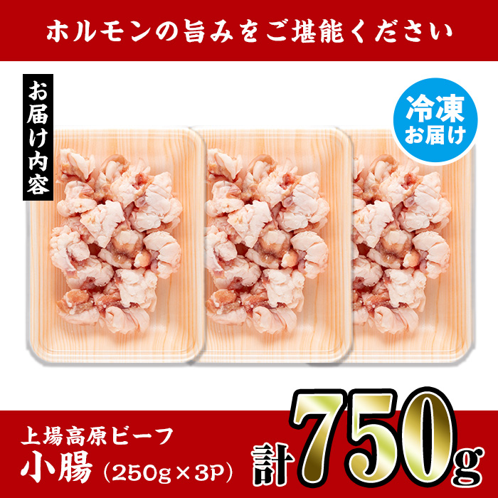 i1156 上場高原ビーフ 小腸(計750g・250g×3P) 上場高原ビーフ ホルモン 焼肉 鉄板焼き もつ鍋 炒めもの 冷凍 小分け 【スーパーよしだ】