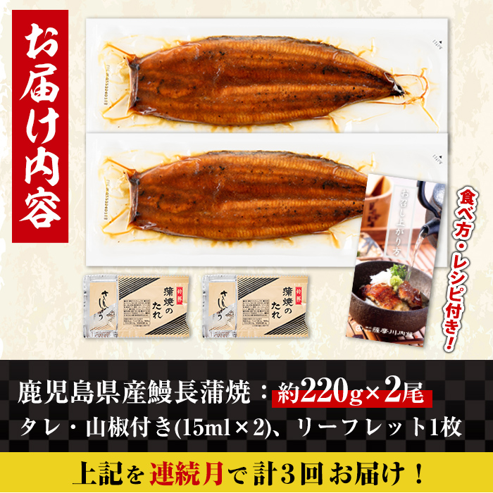 i1172-A ＜定期便・計3回(連続月)＞＼特大サイズ／鹿児島県産 うなぎ蒲焼 2尾セット＜（約220g×2・計約440g）×全3回＞ 定期便 たれ 山椒付きうなぎ 鰻 ウナギ 特大 特大サイズ 約220g 蒲焼き 国産 鹿児島県産 焼きたて 生産量日本一 真空パック おかず 晩御飯 特別な日 土用の丑の日 【薩摩川内鰻】