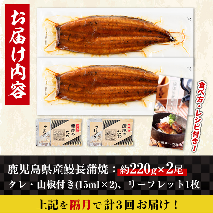 i1172-B ＜定期便・計3回(隔月)＞＼特大サイズ／鹿児島県産 うなぎ蒲焼 2尾セット＜（約220g×2・計約440g）×全3回＞ 定期便 たれ 山椒付きうなぎ 鰻 ウナギ 特大 特大サイズ 約220g 蒲焼き 国産 鹿児島県産 焼きたて 生産量日本一 真空パック おかず 晩御飯 特別な日 土用の丑の日 【薩摩川内鰻】