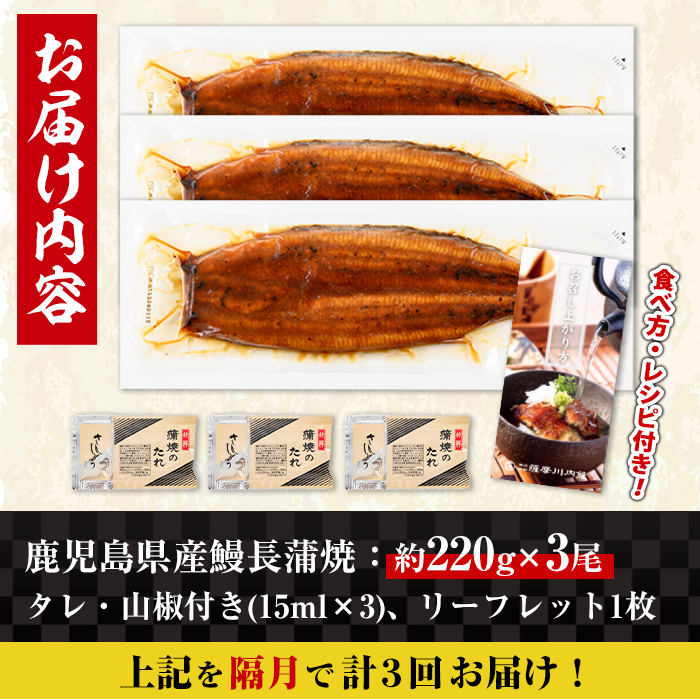 i1174-B ＜定期便・計3回(隔月)＞＼特大サイズ／鹿児島県産 うなぎ蒲焼 3尾セット＜（約220g×3・計約660g）×全3回＞ 定期便 たれ 山椒付きうなぎ 鰻 ウナギ 特大 特大サイズ 約220g 蒲焼き 国産 鹿児島県産 焼きたて 生産量日本一 真空パック おかず 晩御飯 特別な日 土用の丑の日 【薩摩川内鰻】