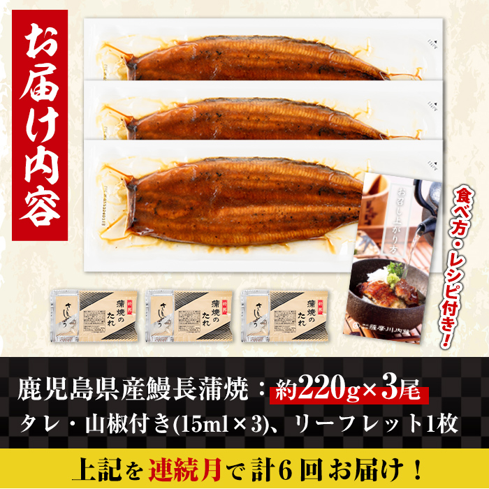 i1175-A ＜定期便・計6回(連続月)＞＼特大サイズ／鹿児島県産 うなぎ蒲焼 3尾セット ＜（約220g×3・計約660g）×全6回＞ 定期便 たれ 山椒付きうなぎ 鰻 ウナギ 特大 特大サイズ 約220g 蒲焼き 国産 鹿児島県産 焼きたて 生産量日本一 真空パック おかず 晩御飯 特別な日 土用の丑の日 【薩摩川内鰻】