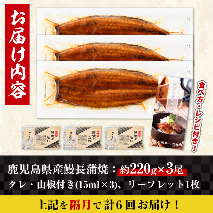 i1175-B ＜定期便・計6回(隔月)＞＼特大サイズ／鹿児島県産 うなぎ蒲焼 3尾セット ＜（約220g×3・計約660g）×全6回＞ 定期便 たれ 山椒付きうなぎ 鰻 ウナギ 特大 特大サイズ 約220g 蒲焼き 国産 鹿児島県産 焼きたて 生産量日本一 真空パック おかず 晩御飯 特別な日 土用の丑の日 【薩摩川内鰻】