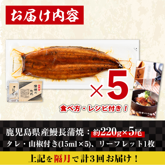 i1176-B ＜定期便・計3回(隔月)＞＼特大サイズ／鹿児島県産 うなぎ蒲焼 5尾セット ＜（約220g×5・計約1100g）×全3回＞ 定期便 たれ 山椒付きうなぎ 鰻 ウナギ 特大 特大サイズ 約220g 蒲焼き 国産 鹿児島県産 焼きたて 生産量日本一 真空パック おかず 晩御飯 特別な日 土用の丑の日 【薩摩川内鰻】