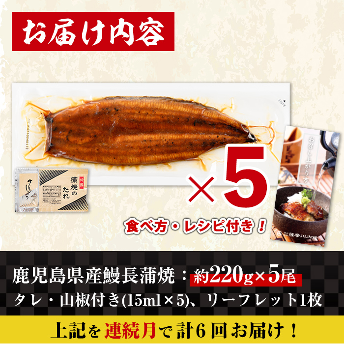 i1177-A ＜定期便・計6回(連続月)＞＼特大サイズ／鹿児島県産 うなぎ蒲焼 5尾セット ＜（約220g×5・計約1100g）×全6回＞ 定期便 たれ 山椒付きうなぎ 鰻 ウナギ 特大 特大サイズ 約220g 蒲焼き 国産 鹿児島県産 焼きたて 生産量日本一 真空パック おかず 晩御飯 特別な日 土用の丑の日 【薩摩川内鰻】