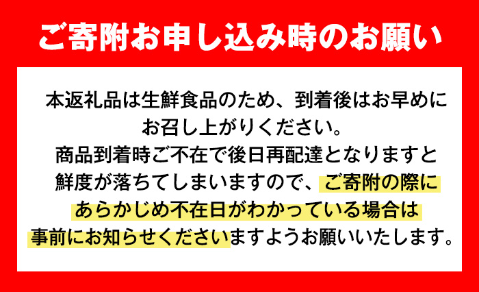 i1339 ≪数量・期間限定≫いずみ産 竹ん子山のしらぬひ(約1.5kg) 鹿児島 国産 九州産 しらぬい 不知火 柑橘 くだもの フルーツ 果実 【イーサイドライン】
