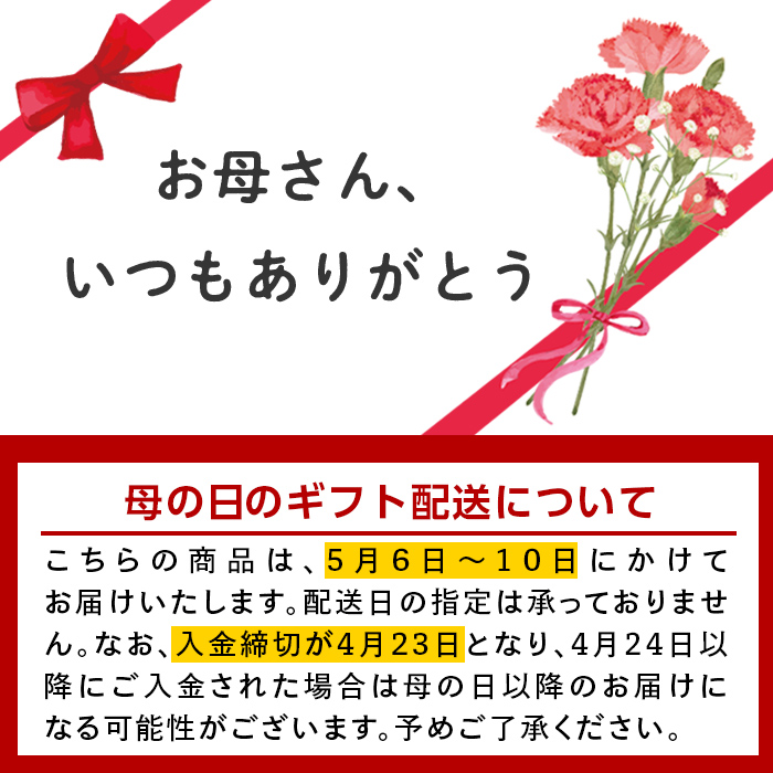 i246-m 【母の日ギフト】季節の上生菓子セット(10個) お菓子 和菓子 生菓子 四季 ギフト 贈り物 和スイーツ お祝い 個包装 冷凍 母の日 プレゼント ギフト 贈答 【リッチモン松元】