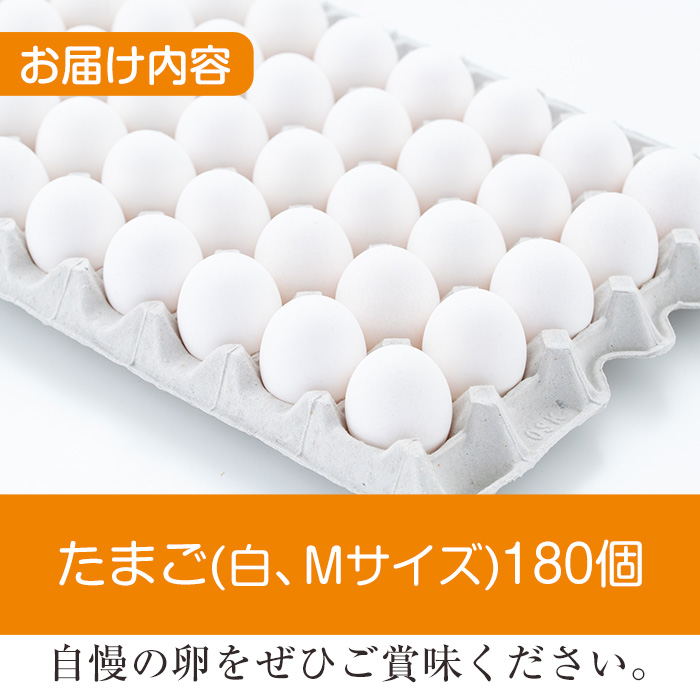 i303 鹿児島県産の白たまご180個(Mサイズ) 業務用 国産 九州産 生卵 卵 たまご 鶏卵 鶏 M玉 TKG 卵焼き 食品 【マルイ食品】