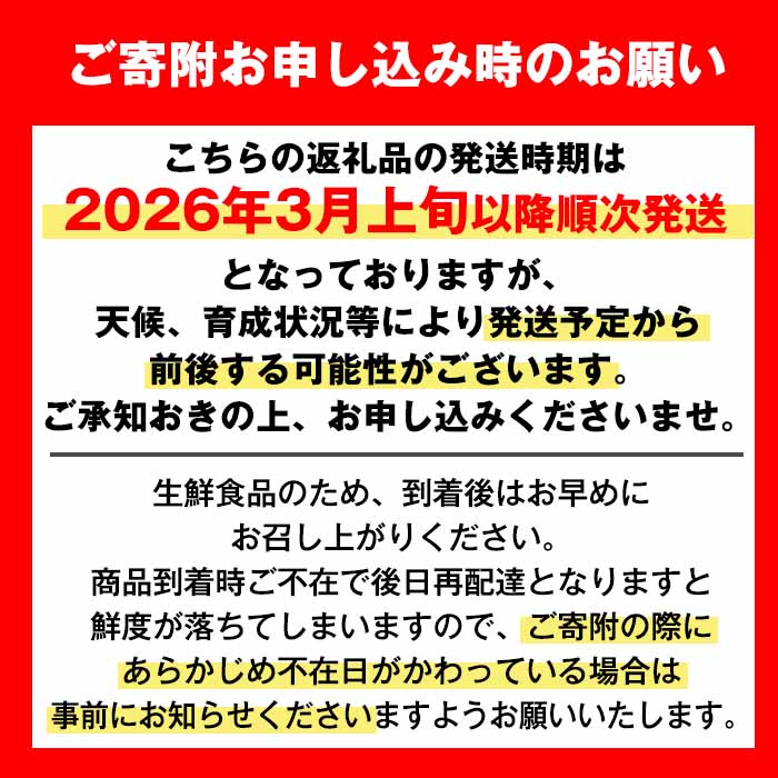 i523 ≪先行予約受付中！2026年3月上旬より順次発送予定≫鹿児島県出水市特産！＜露地栽培＞大将季(約5kg・18～20玉) 大将季 柑橘 くだもの 鹿児島県 みかん フルーツ 旬 露地栽場 【JA鹿児島いずみ(果実課)】
