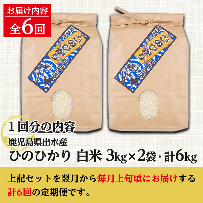 i704 ＜定期便・計6回(連続)＞鹿児島県出水市産ひのひかり＜(3kg×2袋・計6kg)×全6回＞ 米 6kg 計36kg お米 白米 ヒノヒカリ 定期便 自家脱穀 自家精米 精米 おにぎり ごはん お米マイスター 厳選 【田上商店】