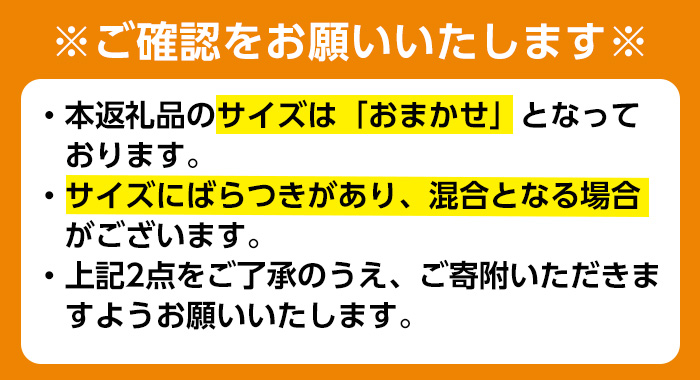 i916 ＜2026年3月上旬～5月下旬の間に発送予定＞サワーポメロ(約10kg) 柑橘 サワーポメロ 鹿児島県 国産 果物 フルーツ みかん 文旦 ボンタン 【江崎果樹園】