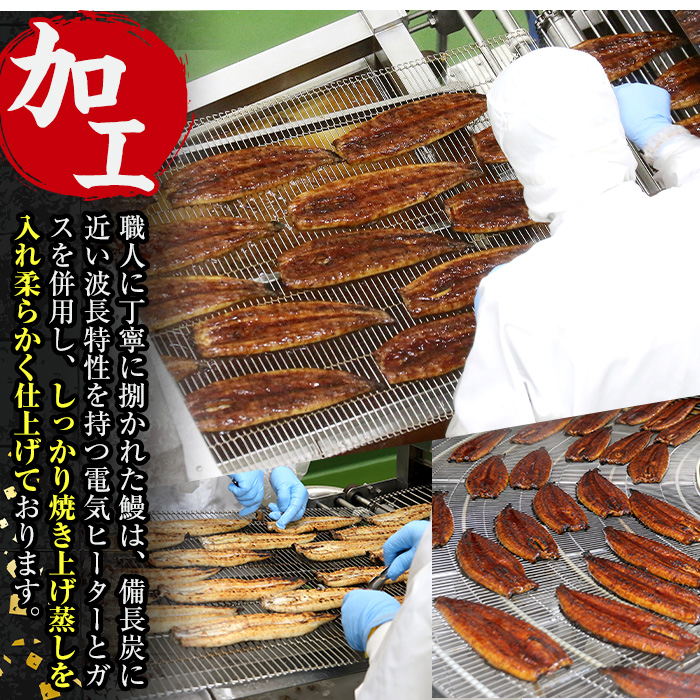 i939-B ＜定期便・計6回(隔月)＞鹿児島県産うなぎ蒲焼3尾セット＜(約140g×3・計約420g)×全6回＞ 定期便 うなぎ 鰻 ウナギ 3尾 蒲焼き 国産 鹿児島県産 焼きたて 生産量日本一 真空パック おかず 晩御飯 特別な日 土用の丑の日 【薩摩川内鰻】