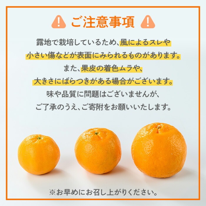 i987 ＜2026年1月中旬以降順次発送予定＞ポンカン(約5kg) みかん ポンカン ぽんかん 柑橘 果物 くだもの フルーツ 旬 ミカン オレンジ 数量限定 期間限定 【アーステクノ】