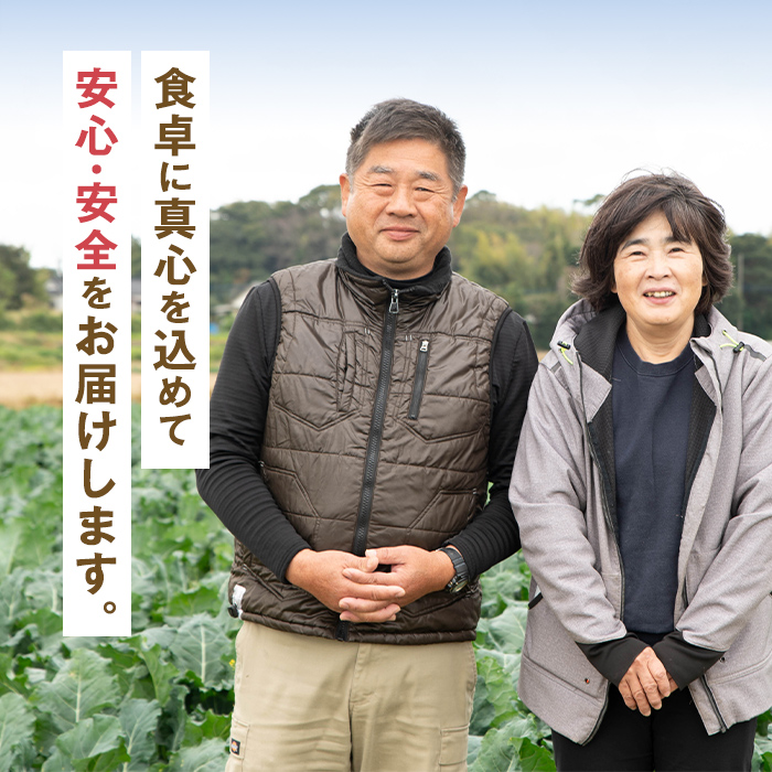 i994 ≪2025年12月上旬～4月下旬の間に発送予定≫ ブロッコリー 約2kg (M～L玉) 鹿児島 出水 国産 生 野菜 ブロッコリー 朝どれ 新鮮 産地直送 JGAP認証 安心安全 【のだ農産】