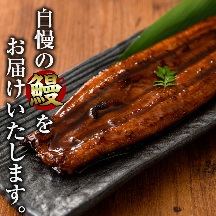 i939-A ＜定期便・計6回(連続月)＞鹿児島県産うなぎ蒲焼3尾セット＜(約140g×3・計約420g)×全6回＞ 定期便 うなぎ 鰻 ウナギ 3尾 蒲焼き 国産 鹿児島県産 焼きたて 生産量日本一 真空パック おかず 晩御飯 特別な日 土用の丑の日 【薩摩川内鰻】