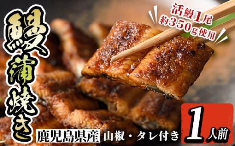 i800 鹿児島県産 うなぎ蒲焼(1尾) うなぎ 鰻 ウナギ 蒲焼 国産 鹿児島県産 おかず 晩御飯 特別な日 土用の丑の日 【とらふぐ家】
