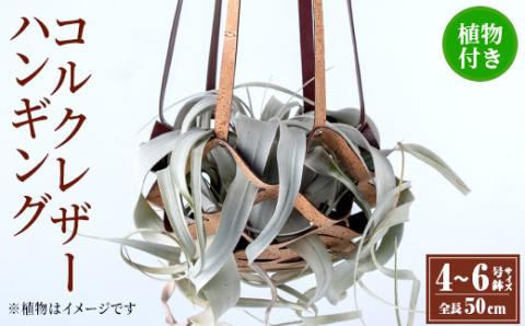 i617 コルクレザーハンギング(植物セット)地球環境や動物に配慮した素材で作られたプラントハンガー！ プラントハンガー 吊り下げ 観葉植物 エアプランツ 地球環境 グリーン インテリア 癒しの空間 植物ホルダー おしゃれ空間 ギフト 贈り物 【kurk PLANT LEATHER】