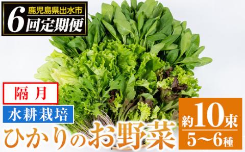 i678-A ＜定期便・計6回(隔月)＞ひかりのお野菜(約10束・5～6種) 野菜 やさい 葉物 旬 定期便 ほうれん草 水菜 チンゲン菜 小松菜 リーフレタス ルッコラ 水耕栽培 ミックスリーフ 山東白菜 何が届くかはお楽しみ 【ひかりの郷】