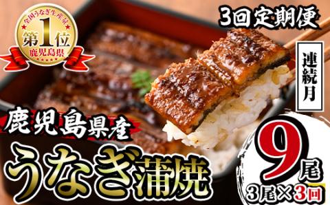 i854-A ＜定期便・計3回(連続月)＞鹿児島県産うなぎ蒲焼3尾セット＜(約140g×3・計約420g)×全3回＞ うなぎ 鰻 ウナギ 2尾 蒲焼き 国産 鹿児島県産 焼きたて 生産量日本一 真空パック おかず 晩御飯 特別な日 土用の丑の日 【薩摩川内鰻】