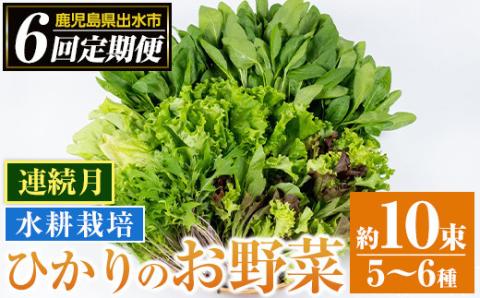 i678-B ＜定期便・計6回(連続月)＞ひかりのお野菜(約10束・5～6種) 野菜 やさい 葉物 旬 定期便 ほうれん草 水菜 チンゲン菜 小松菜 リーフレタス ルッコラ 水耕栽培 ミックスリーフ 山東白菜 何が届くかはお楽しみ 【ひかりの郷】