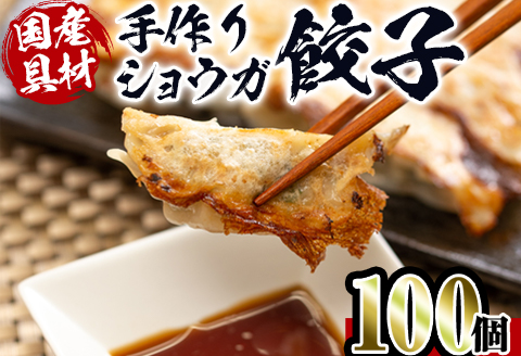 i393 国産豚肉使用！手作りショウガ餃子100個セット(10個×10パック たれ付き）具材は全て安心安全な国産！にんにく不使用！ビールのお供に相性抜群！ 餃子 ぎょうざ ニンニク不使用 しょうが 生姜 冷凍 おかず おつまみ 惣菜 小分け 国産原料 【スーパーよしだ】