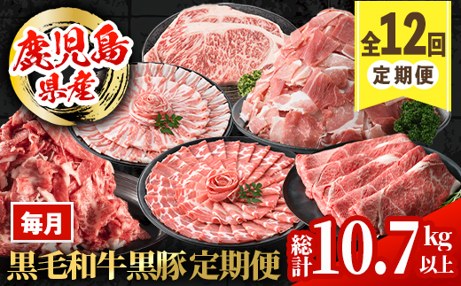 i1008 ＜定期便・計12回(連続)＞黒毛和牛黒豚定期便(総計約10.7kg以上)国産 九州産 鹿児島産 黒毛和牛 牛肉 国産牛 黒豚 豚肉 サーロイン ステーキ 切り落とし 切落し しゃぶしゃぶ すき焼き 定期便 12回 冷凍配送【スターゼン】