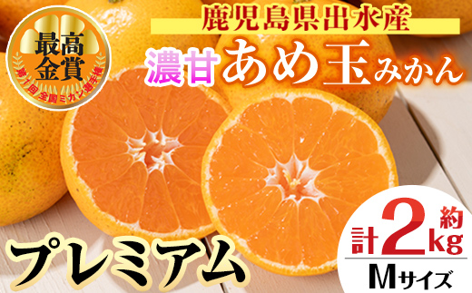 i1059-B ＜先行予約受付中！2025年11月中旬～2026年1月下旬の間に発送予定＞【特別栽培・最高金賞】温州みかん日本一！濃甘あめ玉みかん～プレミアム 極み～(約2kg・Mサイズ) みかん 蜜柑 ミカン 柑橘 果物 フルーツ 果実 国産 鹿児島 プレミアム 厳選 ギフト プレゼント 贈答用 贈り物 【Farmer friends Marche】