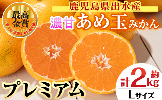 i1059-C ＜先行予約受付中！2025年11月中旬～2026年1月下旬の間に発送予定＞【特別栽培・最高金賞】温州みかん日本一！濃甘あめ玉みかん～プレミアム 恵み～(約2kg・Lサイズ) みかん 蜜柑 ミカン 柑橘 果物 フルーツ 果実 国産 鹿児島 プレミアム 厳選 ギフト プレゼント 贈答用 贈り物 【Farmer friends Marche】