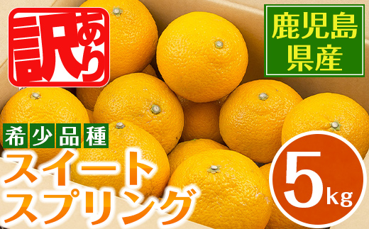i1067-A ＜2025年12月下旬～2月下旬の間に発送予定＞ ＜数量・期間限定＞ 《傷ありのため訳あり》 スイートスプリング (約5kg) 鹿児島県産 みかん スイートスプリング 柑橘 果物 くだもの フルーツ 旬 ミカン オレンジ 数量限定 期間限定  【江崎果樹園】