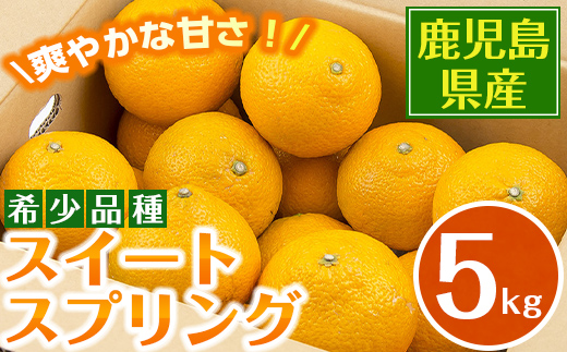 i1068 ＜2025年12月下旬～2月下旬の間に発送予定＞ ＜数量・期間限定＞ スイートスプリング (約5kg) 鹿児島県産 みかん スイートスプリング 柑橘 果物 くだもの フルーツ 旬 ミカン オレンジ 数量限定 期間限定  【江崎果樹園】