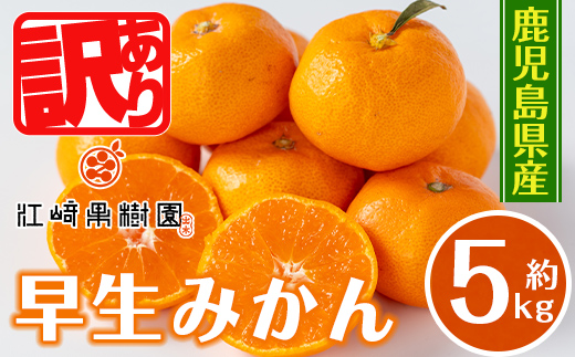 i1069-B ＜数量・期間限定＞《傷ありのため訳あり》鹿児島みかん 早生系 (約5kg) みかん 蜜柑 ミカン 柑橘 早生 果物 フルーツ 果実 国産 鹿児島 訳あり 数量限定 期間限定 【江崎果樹園】