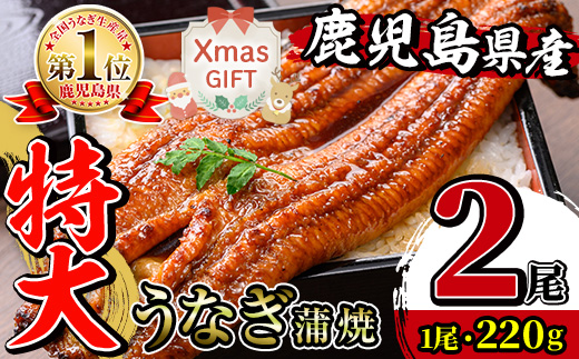 i1078-A-Xm 【クリスマスギフト】＼特大サイズ／ 鹿児島県産 うなぎ蒲焼 (2尾) 1尾 約220g たれ 山椒付きうなぎ 鰻 ウナギ 特大 特大サイズ 特大鰻 蒲焼き 国産 鹿児島県産 選べる 贈答 ギフト プレゼント クリスマス 【薩摩川内鰻】