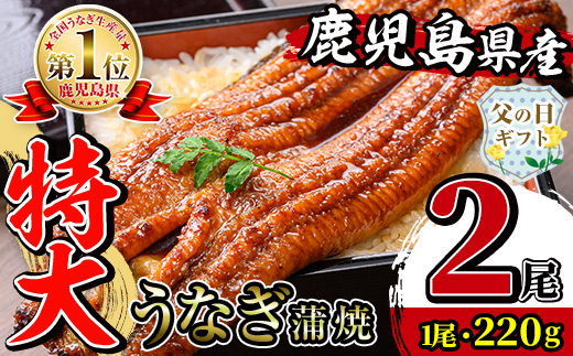 i1078-A-f 【父の日ギフト】＼特大サイズ／鹿児島県産 うなぎ蒲焼 2尾（約220g×2・計約440g） たれ 山椒付きうなぎ 鰻 ウナギ 特大 特大サイズ 約220g 蒲焼き 国産 鹿児島県産 焼きたて 生産量日本一 真空パック おかず 晩御飯 特別な日 贈答 ギフト プレゼント 父の日 【薩摩川内鰻】