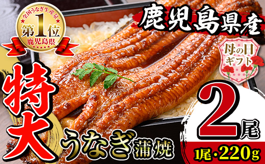 i1078-A-m 【母の日ギフト】＼特大サイズ／鹿児島県産 うなぎ蒲焼 2尾（約220g×2・計約440g） たれ 山椒付きうなぎ 鰻 ウナギ 特大 特大サイズ 約220g 蒲焼き 国産 鹿児島県産 焼きたて 生産量日本一 真空パック おかず 晩御飯 特別な日 贈答 ギフト プレゼント 母の日 【薩摩川内鰻】