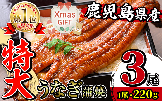 i1078-B-Xm 【クリスマスギフト】＼特大サイズ／ 鹿児島県産 うなぎ蒲焼 (3尾) 1尾 約220g たれ 山椒付きうなぎ 鰻 ウナギ 特大 特大サイズ 特大鰻 蒲焼き 国産 鹿児島県産 選べる 贈答 ギフト プレゼント クリスマス 【薩摩川内鰻】