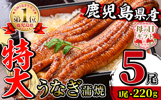 i1078-C-m 【母の日ギフト】＼特大サイズ／鹿児島県産 うなぎ蒲焼 5尾（約220g×5・計約1100g） たれ 山椒付きうなぎ 鰻 ウナギ 特大 特大サイズ 約220g 蒲焼き 国産 鹿児島県産 焼きたて 生産量日本一 真空パック おかず 晩御飯 特別な日 贈答 ギフト プレゼント 母の日 【薩摩川内鰻】