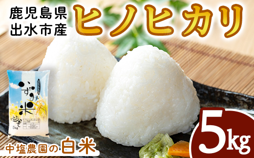 i1079-A 令和7年産 鹿児島県 出水市産 ヒノヒカリ (5kg) 米 5kg ひのひかりヒノヒカリ 鹿児島 5キロ お米 九州 九州産 甘み あっさり もちもち 【いずみキッチン】