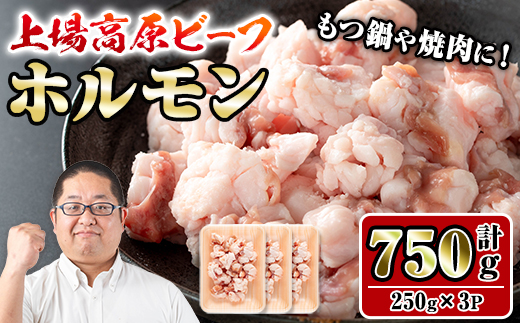 i1156 上場高原ビーフ 小腸(計750g・250g×3P) 上場高原ビーフ ホルモン 焼肉 鉄板焼き もつ鍋 炒めもの 冷凍 小分け 【スーパーよしだ】