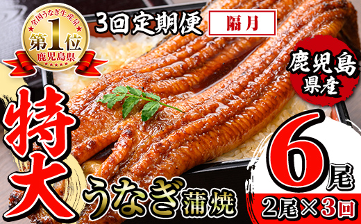 i1172-B ＜定期便・計3回(隔月)＞＼特大サイズ／鹿児島県産 うなぎ蒲焼 2尾セット＜（約220g×2・計約440g）×全3回＞ 定期便 たれ 山椒付きうなぎ 鰻 ウナギ 特大 特大サイズ 約220g 蒲焼き 国産 鹿児島県産 焼きたて 生産量日本一 真空パック おかず 晩御飯 特別な日 土用の丑の日 【薩摩川内鰻】